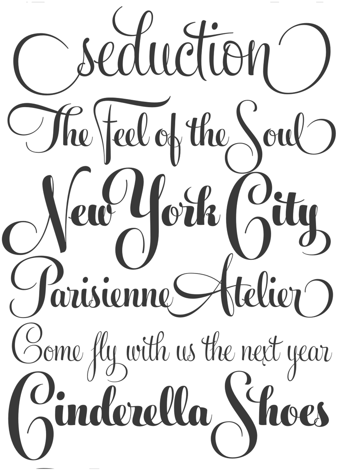 Specimen Feel Script