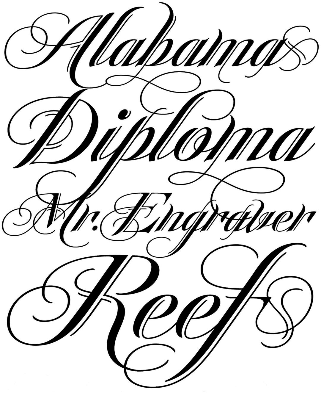 Specimen Heraldica Script