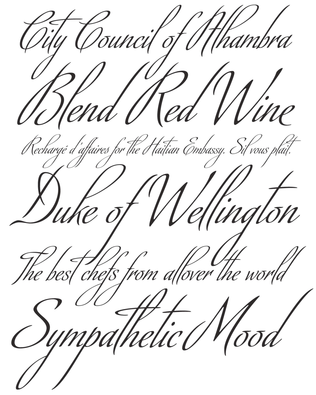 Specimen Diplomatic Script