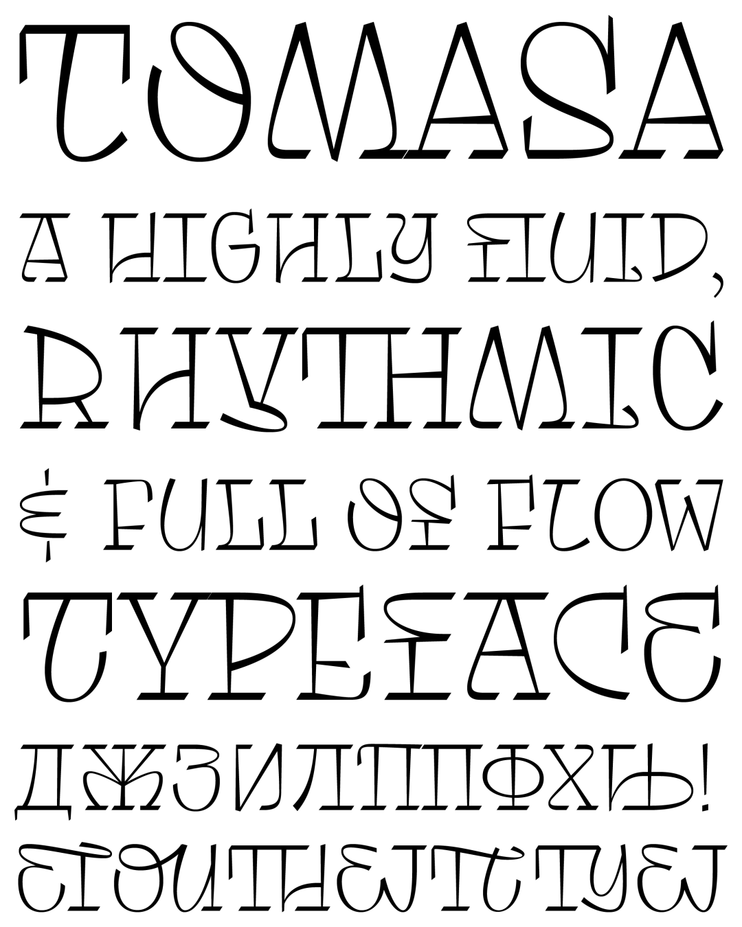 Specimen Tomasa