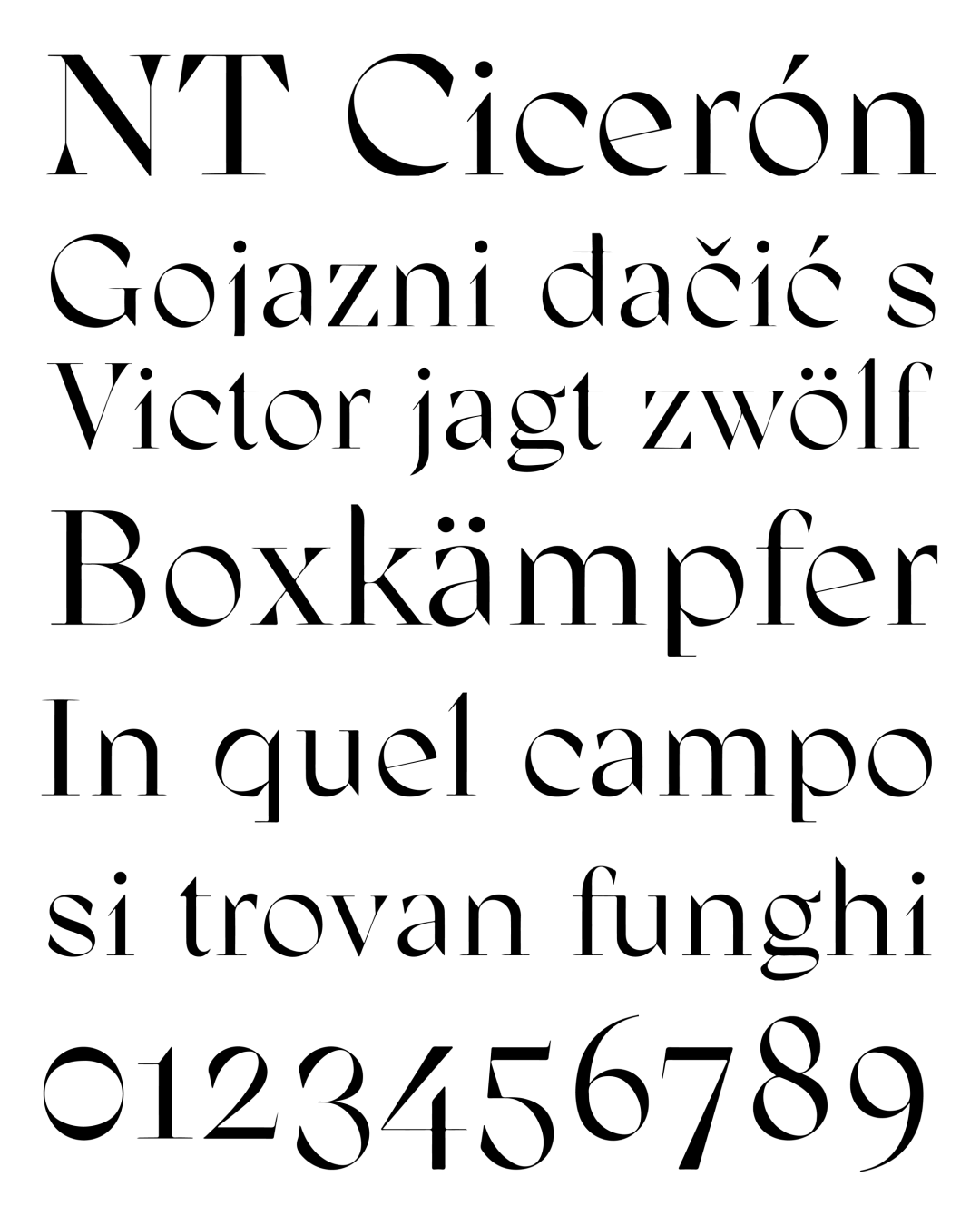 Specimen NT Cicerón