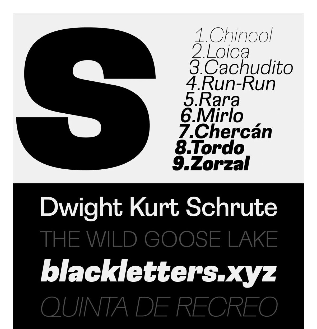 Specimen Loica sans