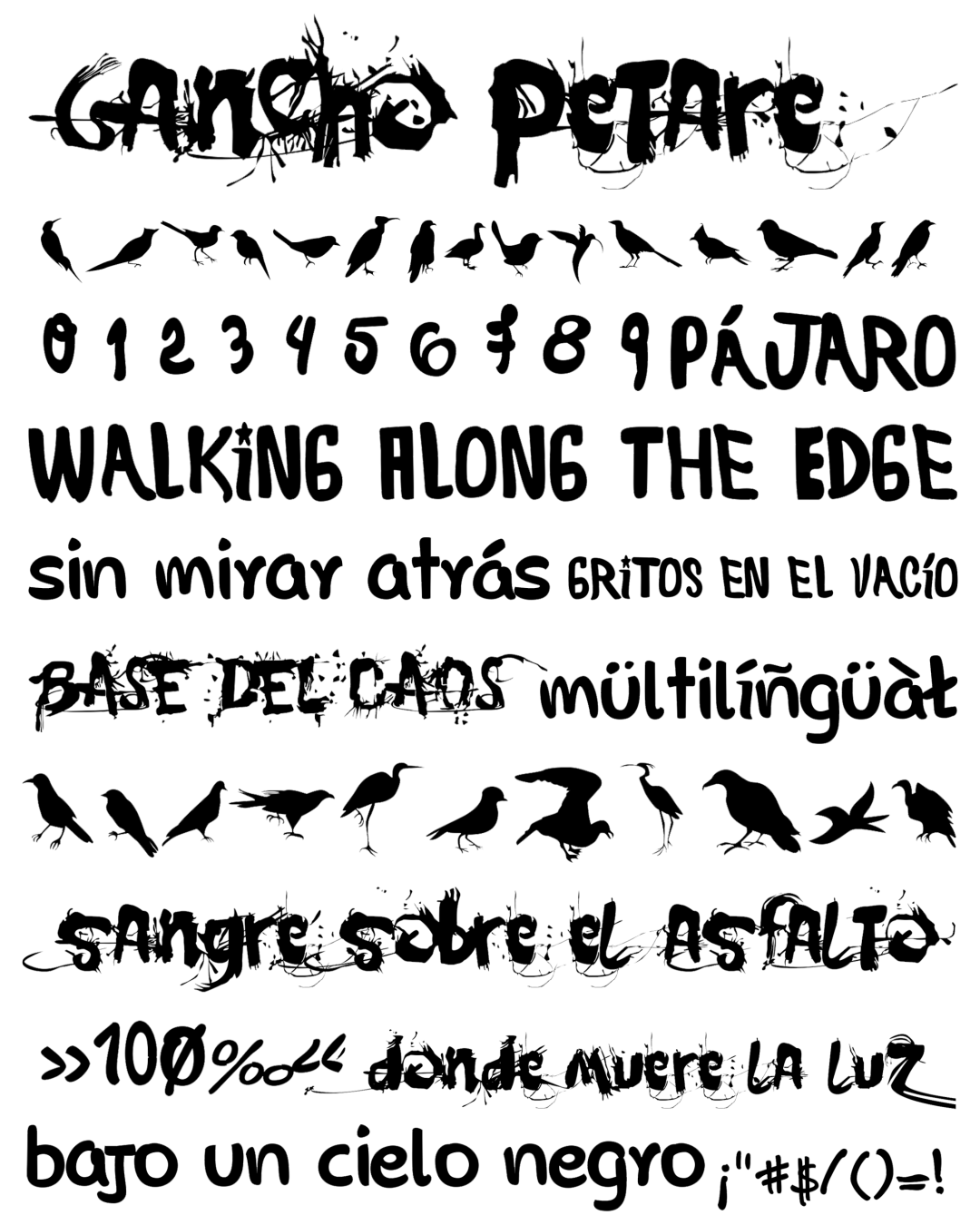 Specimen Gancho Petare