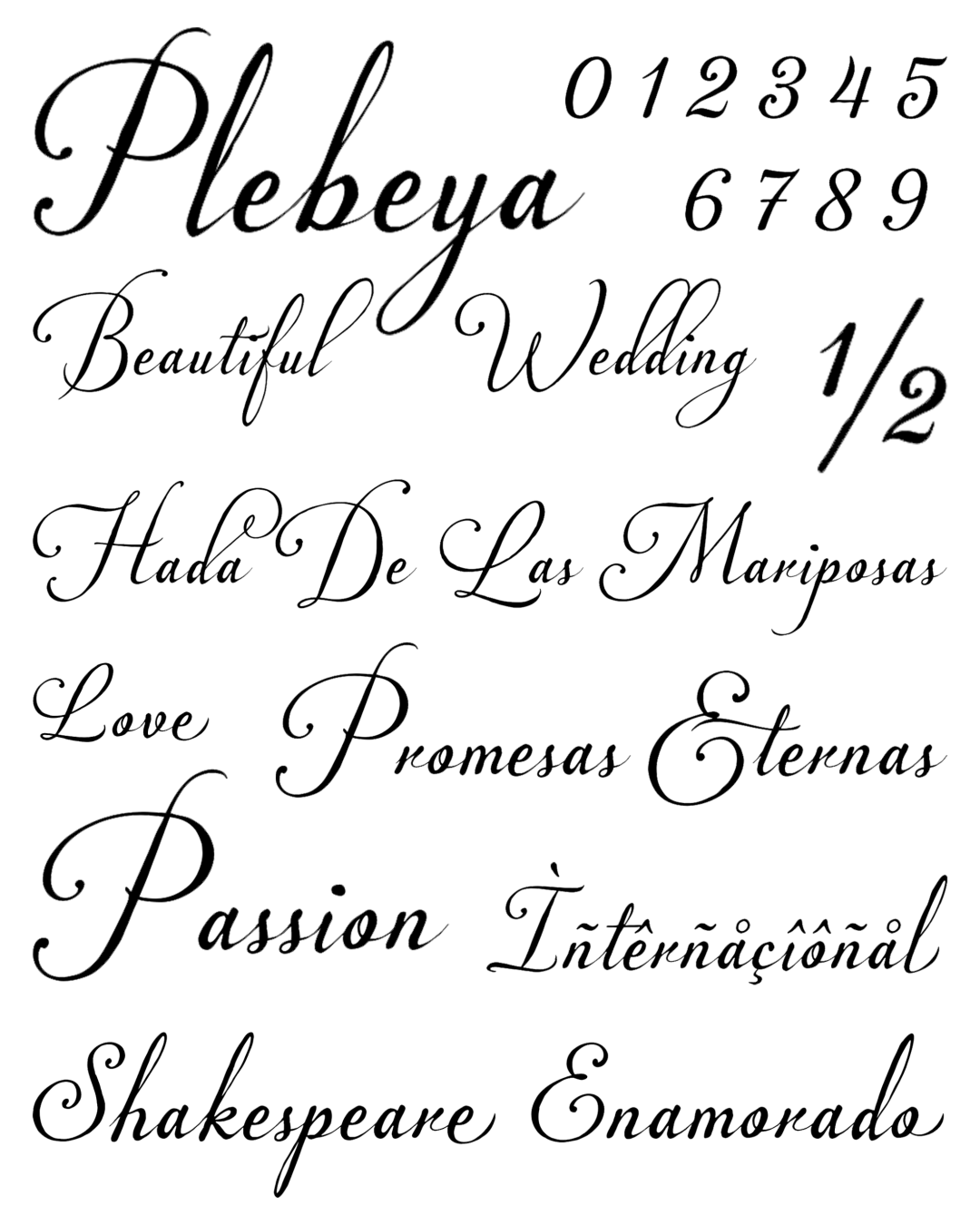 Specimen Plebeya