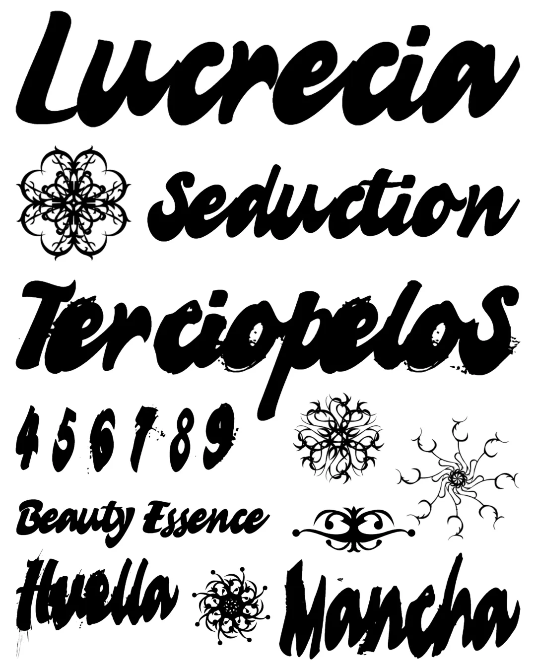 Specimen Lucrecia