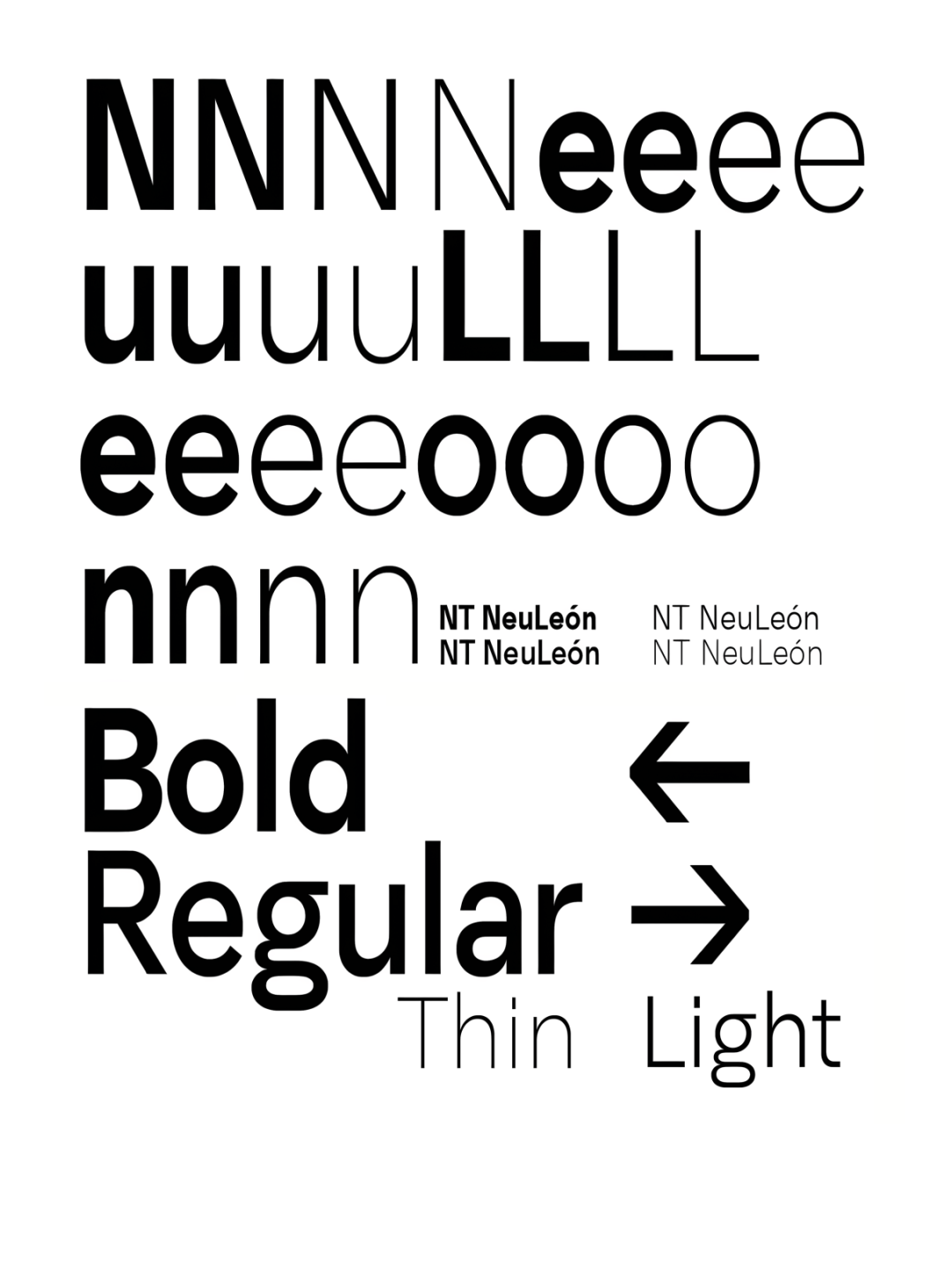 Specimen Neu León
