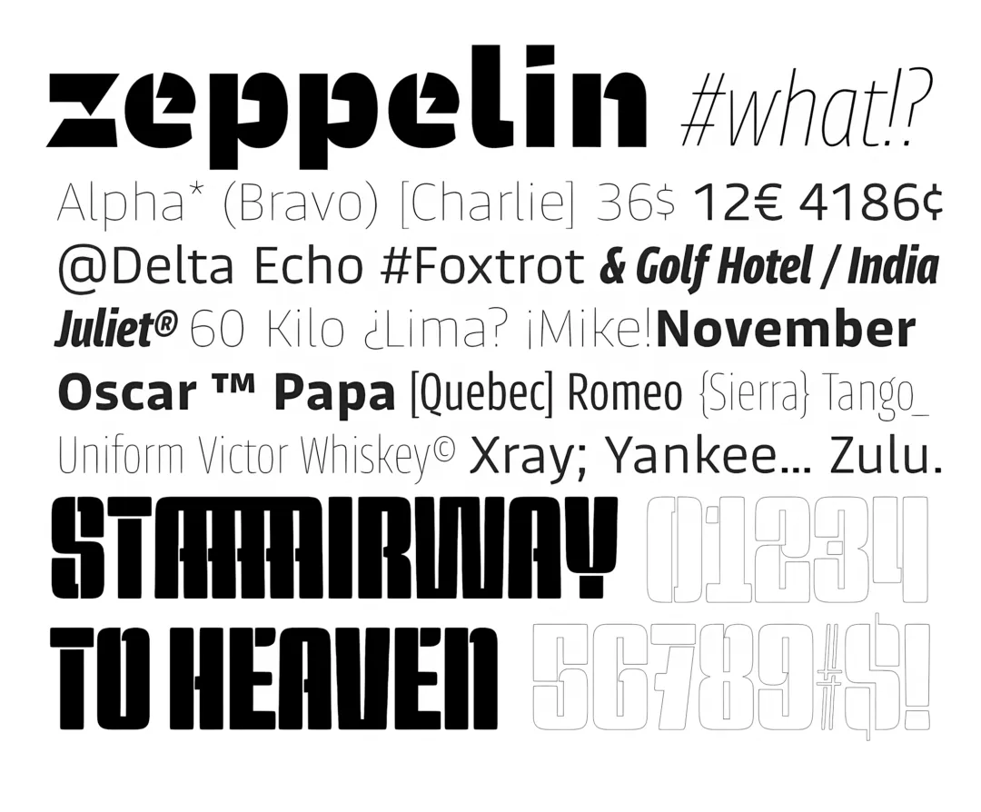 Specimen Zeppelin