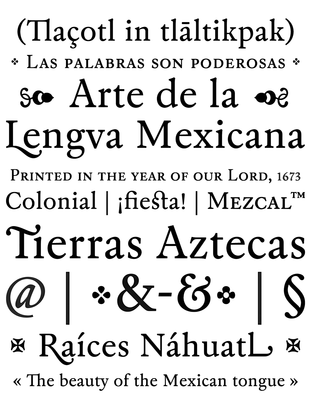 Specimen Agustina Serif