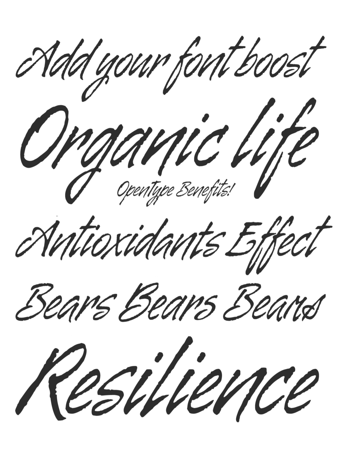 Specimen Galgo Script