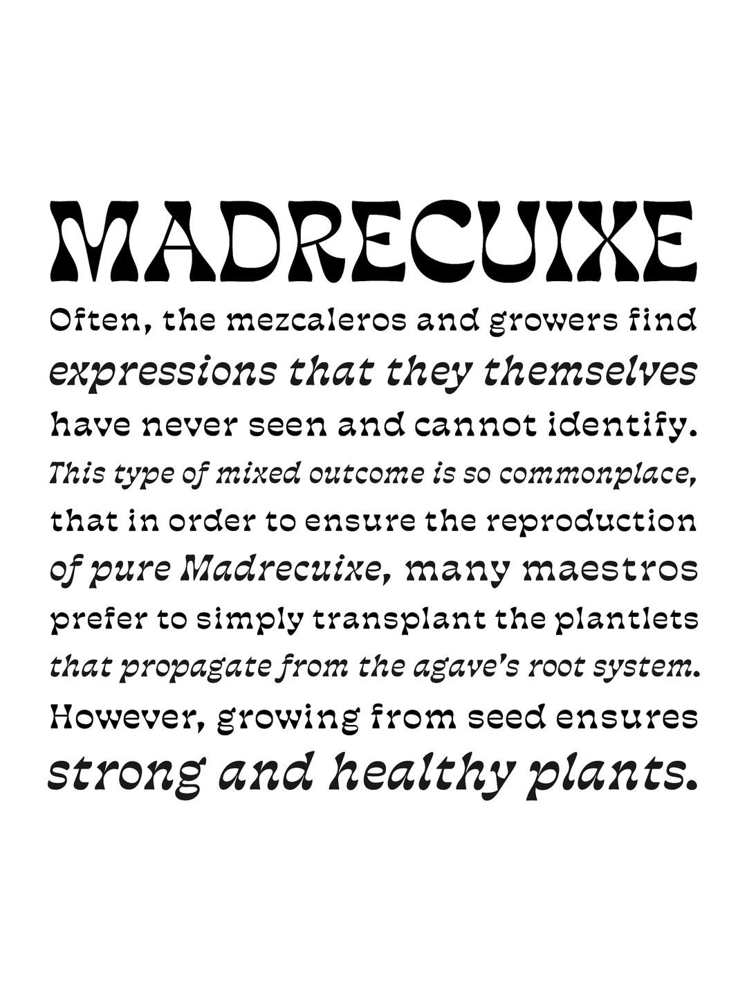 Specimen Madrecuixe