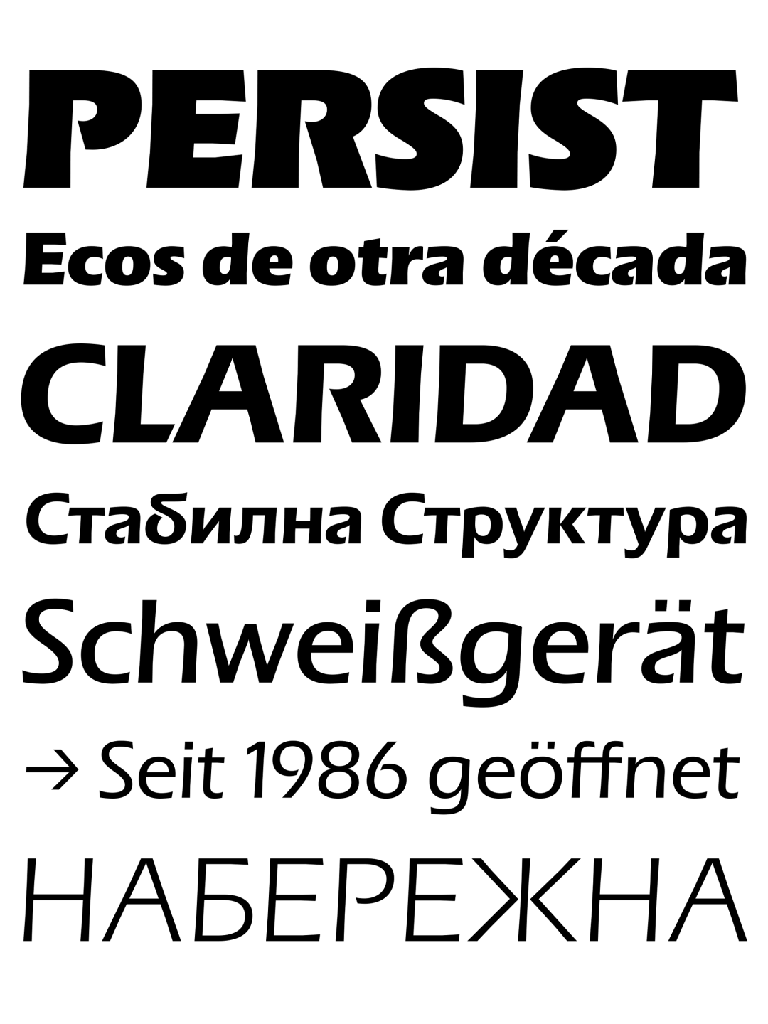 Specimen Galera