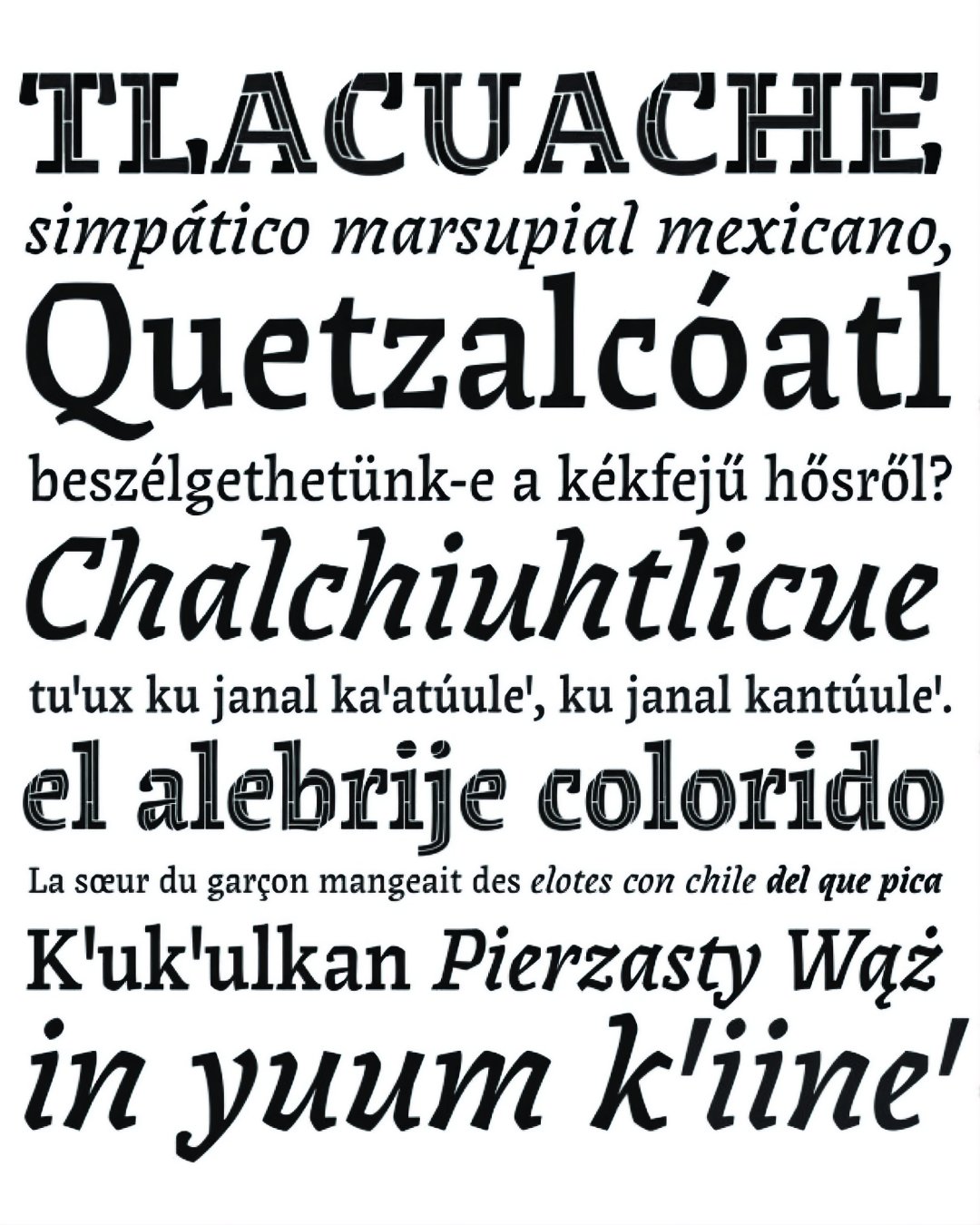 Specimen Surco