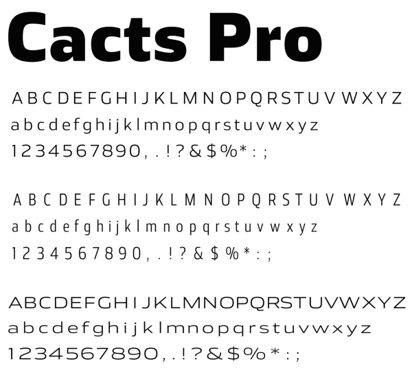Cacts Pro